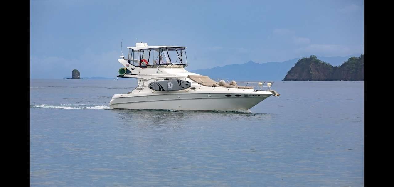 yacht-251526